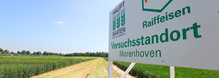 w/saatgut Raiffeisen WarenZentrale RheinMain AG