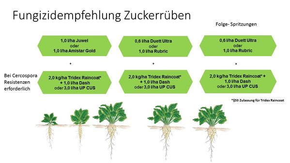 Zuckerrüben-Fungizide | Raiffeisen Waren-Zentrale Rhein-Main eG