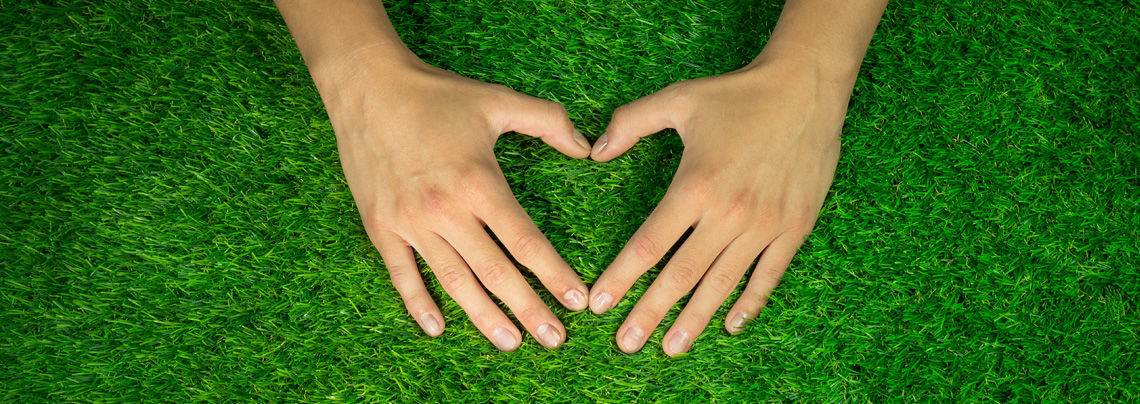 Düngung Rasensportplätze | Raiffeisen Waren-Zentrale Rhein-Main eG