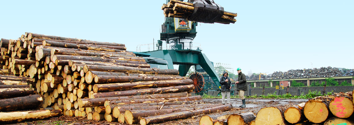 RWZ Holz