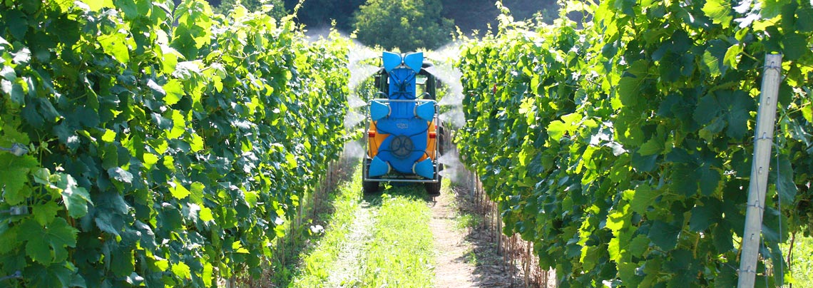 Weinbau