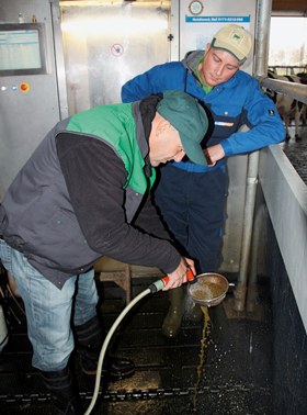 Detlef Ewig und Christian Kley kontrollieren die Kotqualität mittels Waschprobe.