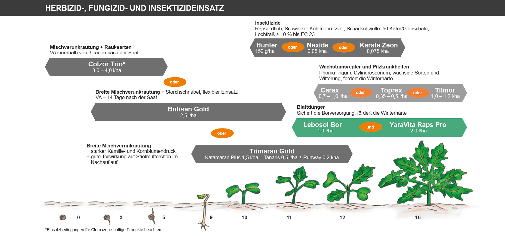 Herbizideinsatz im Winterraps | Raiffeisen Waren-Zentrale Rhein-Main eG